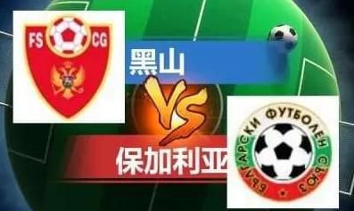 精品影视网站入口