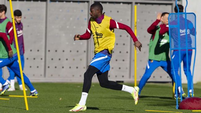 拍拍视频