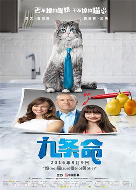 91自拍视频在线观看