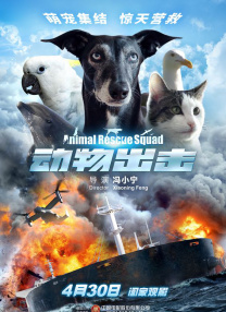 表哥派对上的不可阻挡的意图