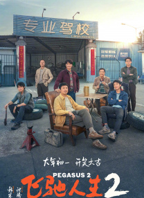 97久久精品国产成人影院
