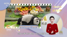 九九九精品成人免费视频7